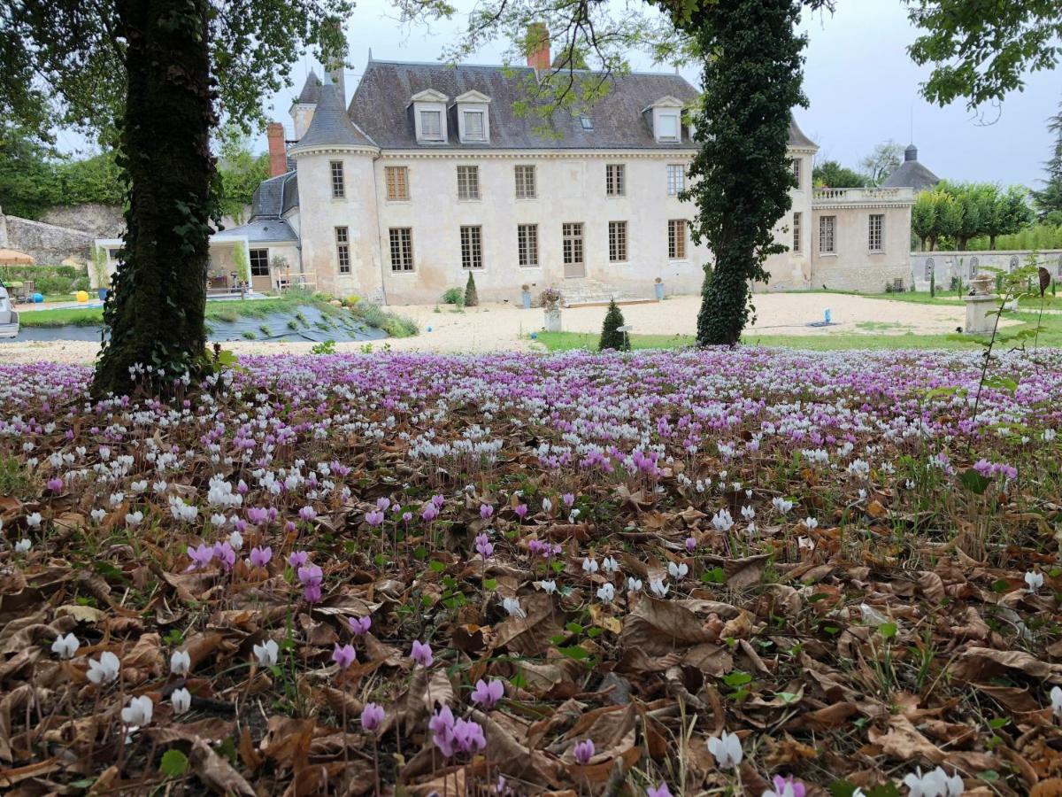 Domaine Plessis Gallu - Vacation Cottage Rental Azay-le-Rideau Ngoại thất bức ảnh